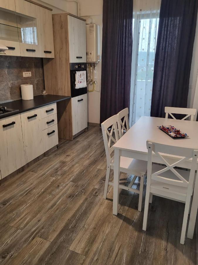 Apartmán Apartament Dem Radulescu Râmnicu Vâlcea Exteriér fotografie